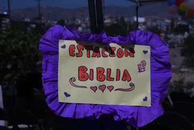 DSC_2010 (Large).JPG